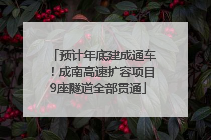 预计年底建成通车！成南高速扩容项目9座隧道全部贯通