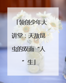 领创少年大讲堂：天敌昆虫的双面“人”生