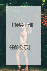 领导干部任前公示