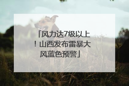 风力达7级以上！山西发布雷暴大风蓝色预警