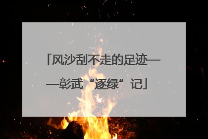 风沙刮不走的足迹——彰武“逐绿”记