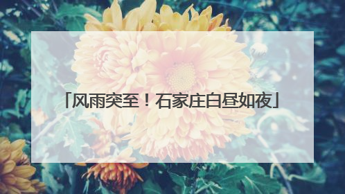 风雨突至！石家庄白昼如夜