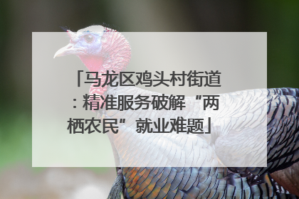 马龙区鸡头村街道：精准服务破解“两栖农民”就业难题