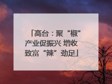 高台：聚“椒”产业促振兴 增收致富“辣”劲足