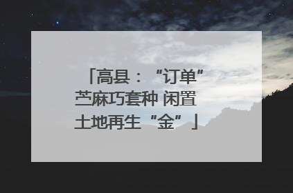 高县：“订单”苎麻巧套种 闲置土地再生“金”