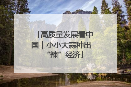 高质量发展看中国｜小小大蒜种出“辣”经济
