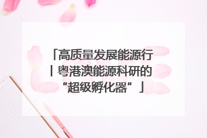 高质量发展能源行丨粤港澳能源科研的“超级孵化器”
