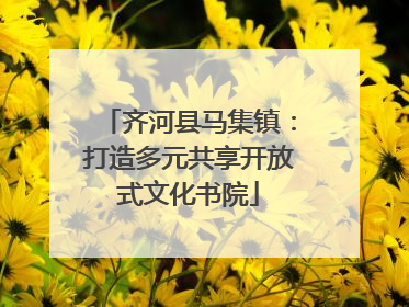 齐河县马集镇：打造多元共享开放式文化书院