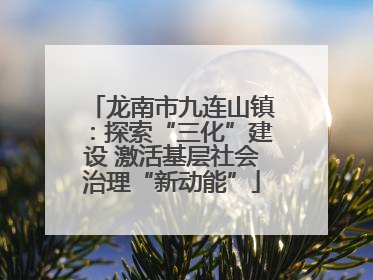 龙南市九连山镇：探索“三化”建设 激活基层社会治理“新动能”