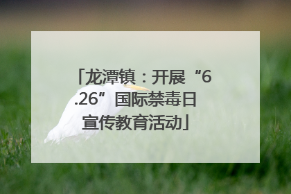 龙潭镇：开展“6.26”国际禁毒日宣传教育活动