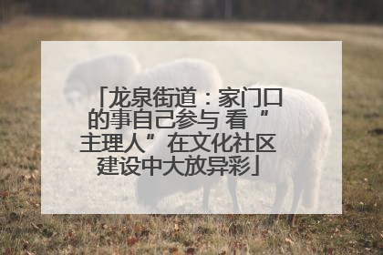 龙泉街道：家门口的事自己参与 看“主理人”在文化社区建设中大放异彩