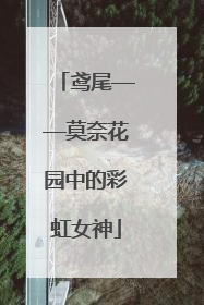 鸢尾——莫奈花园中的彩虹女神