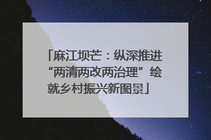 麻江坝芒：纵深推进“两清两改两治理”绘就乡村振兴新图景