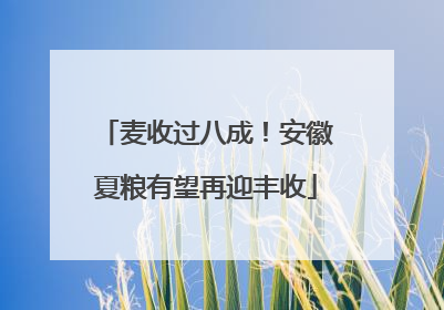 麦收过八成！安徽夏粮有望再迎丰收