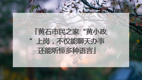 黄石市民之家“黄小政”上岗，不仅能聊天办事还能听懂多种语言