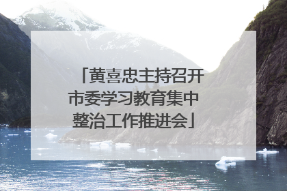 黄喜忠主持召开市委学习教育集中整治工作推进会