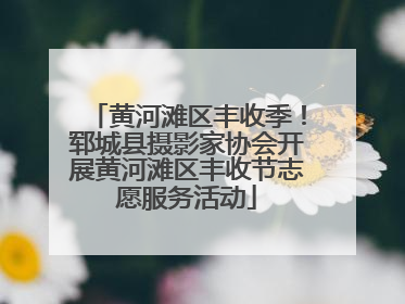黄河滩区丰收季！郓城县摄影家协会开展黄河滩区丰收节志愿服务活动