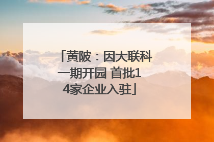 黄陂：因大联科一期开园 首批14家企业入驻