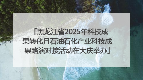黑龙江省2025年科技成果转化月石油石化产业科技成果路演对接活动在大庆举办