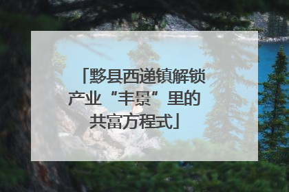 黟县西递镇解锁产业“丰景”里的共富方程式