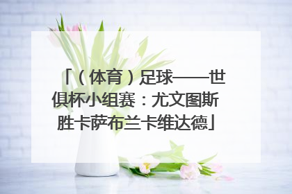 （体育）足球——世俱杯小组赛：尤文图斯胜卡萨布兰卡维达德
