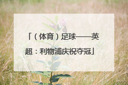 （体育）足球——英超：利物浦庆祝夺冠