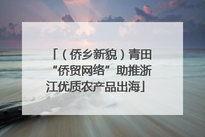 （侨乡新貌）青田“侨贸网络”助推浙江优质农产品出海