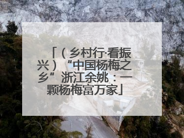 （乡村行·看振兴）“中国杨梅之乡”浙江余姚：一颗杨梅富万家