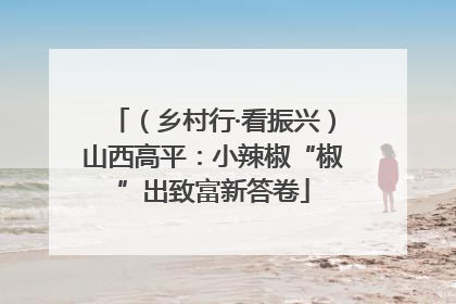 （乡村行·看振兴）山西高平：小辣椒“椒”出致富新答卷