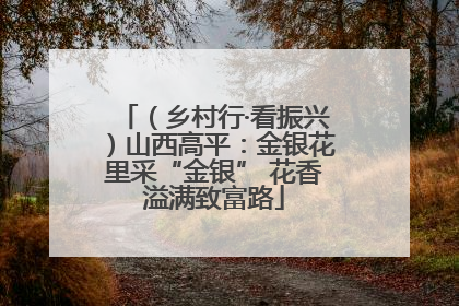 （乡村行·看振兴）山西高平：金银花里采“金银” 花香溢满致富路