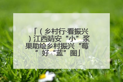 （乡村行·看振兴）江西靖安“小”浆果助绘乡村振兴“莓”好“蓝”图