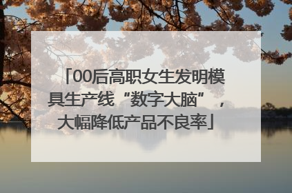 00后高职女生发明模具生产线“数字大脑”，大幅降低产品不良率