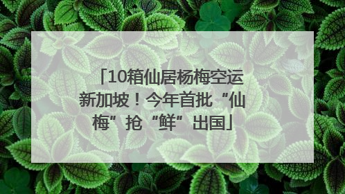 10箱仙居杨梅空运新加坡！今年首批“仙梅”抢“鲜”出国
