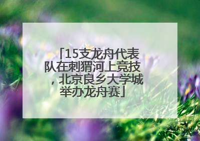 15支龙舟代表队在刺猬河上竞技，北京良乡大学城举办龙舟赛