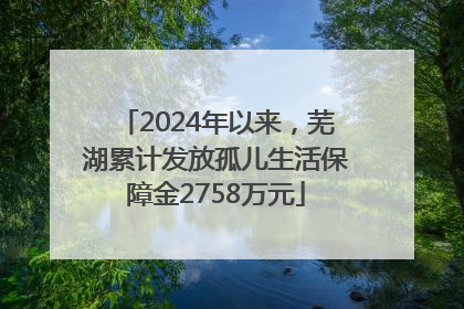 2024年以来，芜湖累计发放孤儿生活保障金2758万元