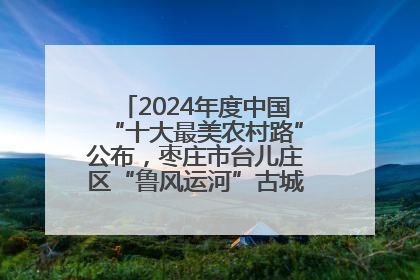 2024年度中国“十大最美农村路”公布，枣庄市台儿庄区“鲁风运河”古城文化廊道上榜！