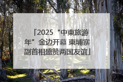 2025“中柬旅游年”金边开幕 柬埔寨副首相盛赞两国友谊