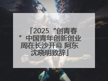 2025“创青春”中国青年创新创业周在长沙开幕 阿东沈晓明致辞