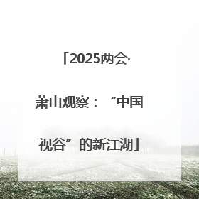 2025两会·萧山观察：“中国视谷”的新江湖