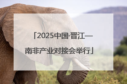 2025中国·晋江—南非产业对接会举行
