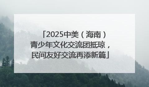 2025中美（海南）青少年文化交流团抵琼，民间友好交流再添新篇