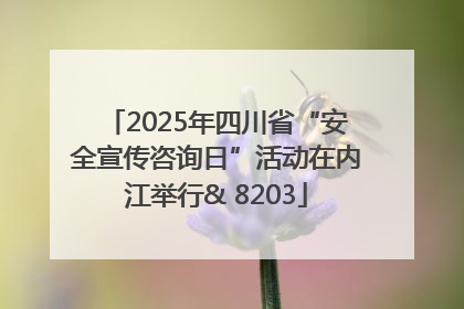 2025年四川省“安全宣传咨询日”活动在内江举行& 8203