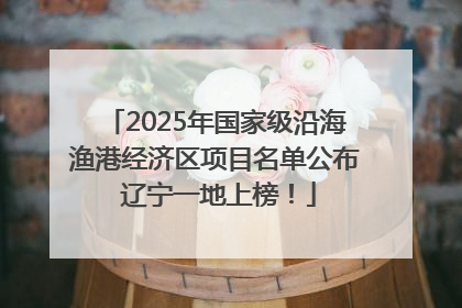 2025年国家级沿海渔港经济区项目名单公布 辽宁一地上榜！