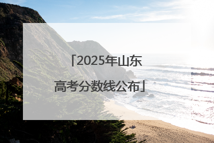 2025年山东高考分数线公布