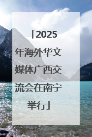 2025年海外华文媒体广西交流会在南宁举行