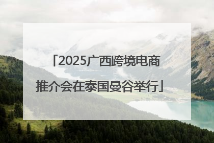 2025广西跨境电商推介会在泰国曼谷举行