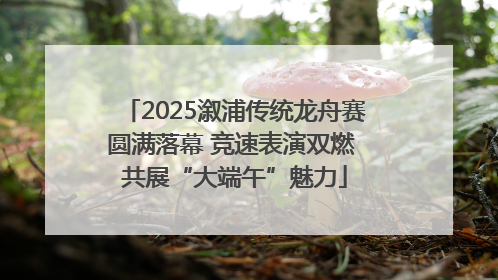2025溆浦传统龙舟赛圆满落幕 竞速表演双燃 共展“大端午”魅力