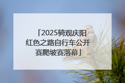 2025骑观庆阳红色之路自行车公开赛爬坡赛落幕