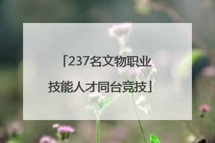237名文物职业技能人才同台竞技