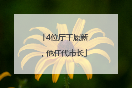 4位厅干履新，他任代市长